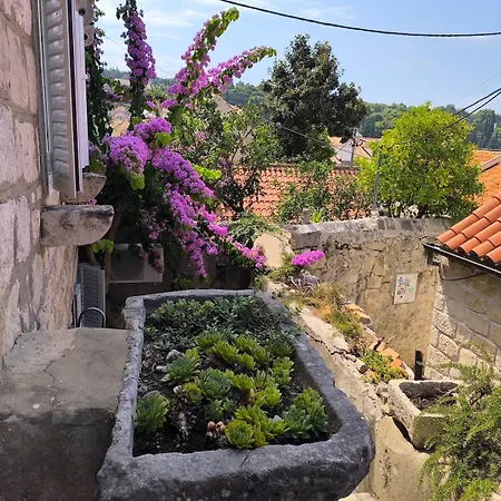 Vakantiehuis Scatolina House *