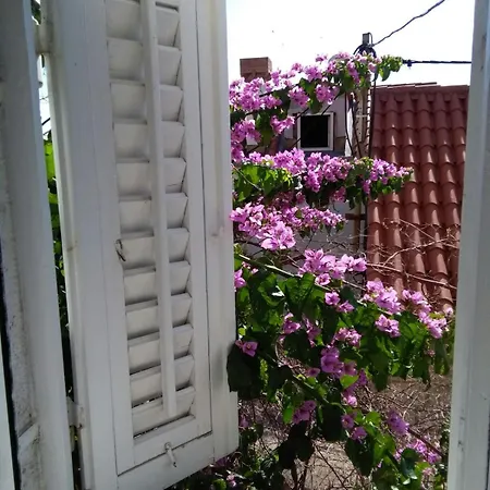 Scatolina House